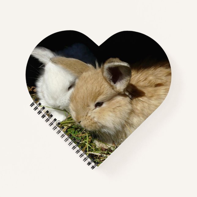 Cute little fluffy bunnies  notebook (Front)