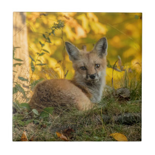Cute Little Fox     Ceramic Tile