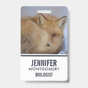 Cute Little Fox Curled Up Winter Photo Badge