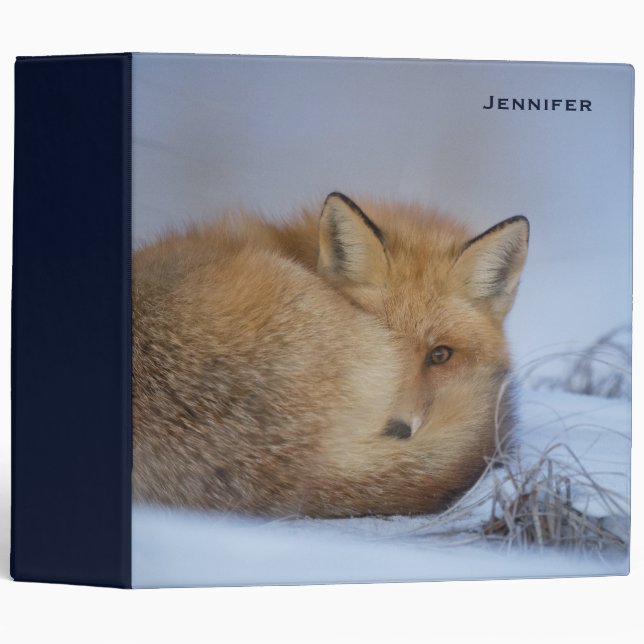Cute Little Fox Curled Up Winter Photo Binder (Front/Spine)