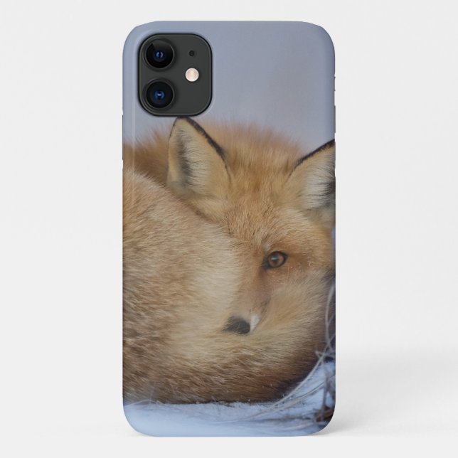 Cute Little Fox Curled Up Winter Photo Case-Mate iPhone Case (Back)