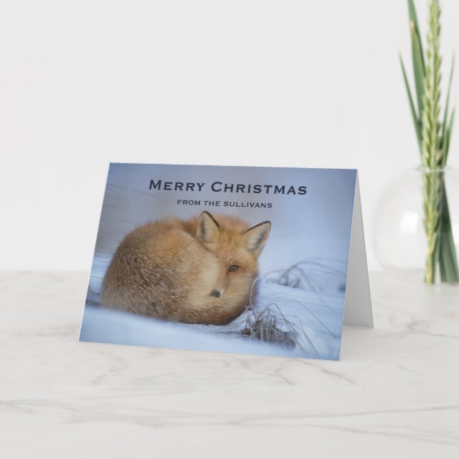 Cute Little Fox Curled Up Winter Photo Christmas Card (Front)