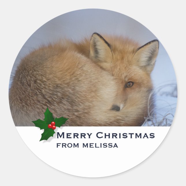 Cute Little Fox Curled Up Winter Photo Christmas Classic Round Sticker (Front)