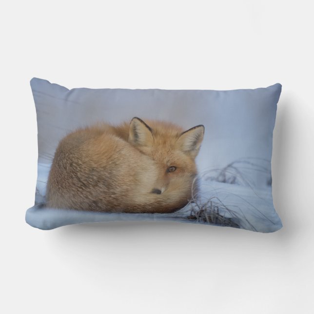 Cute Little Fox Curled Up Winter Photo Lumbar Pillow (Front)