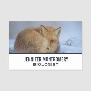 Cute Little Fox Curled Up Winter Photo Name Tag