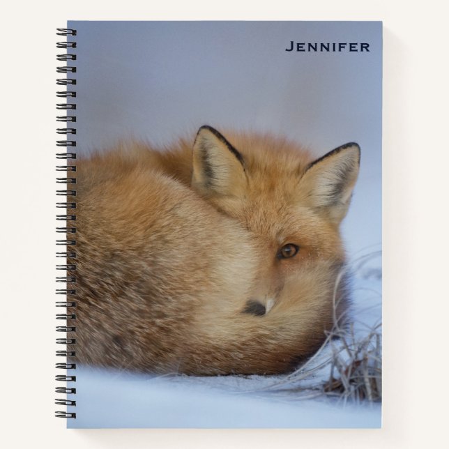 Cute Little Fox Curled Up Winter Photo Notebook (Front)