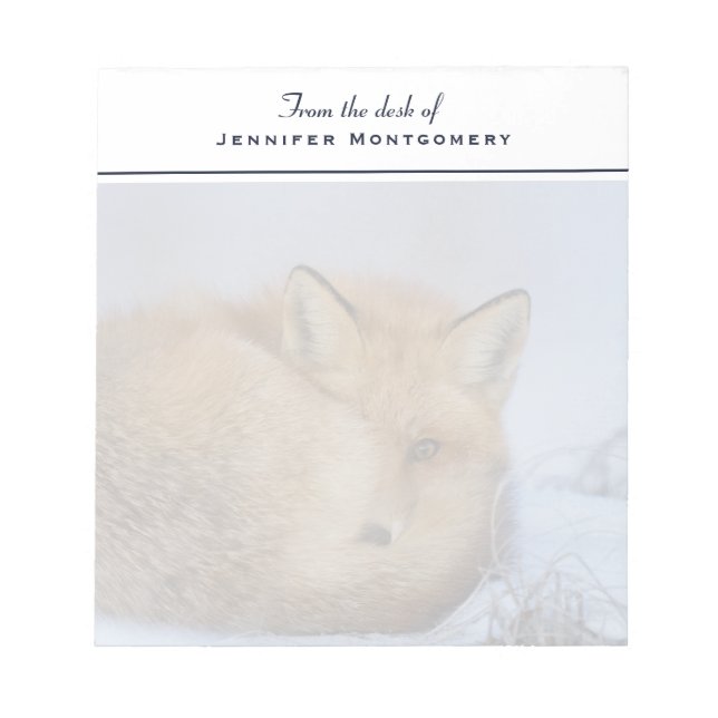 Cute Little Fox Curled Up Winter Photo Notepad (Front)