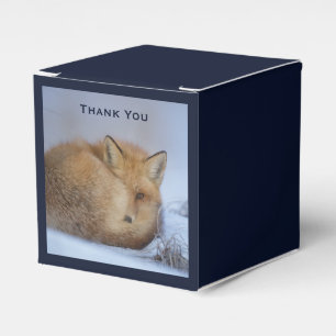 Cute Little Fox Curled Up Winter Photo Thank You Favor Box