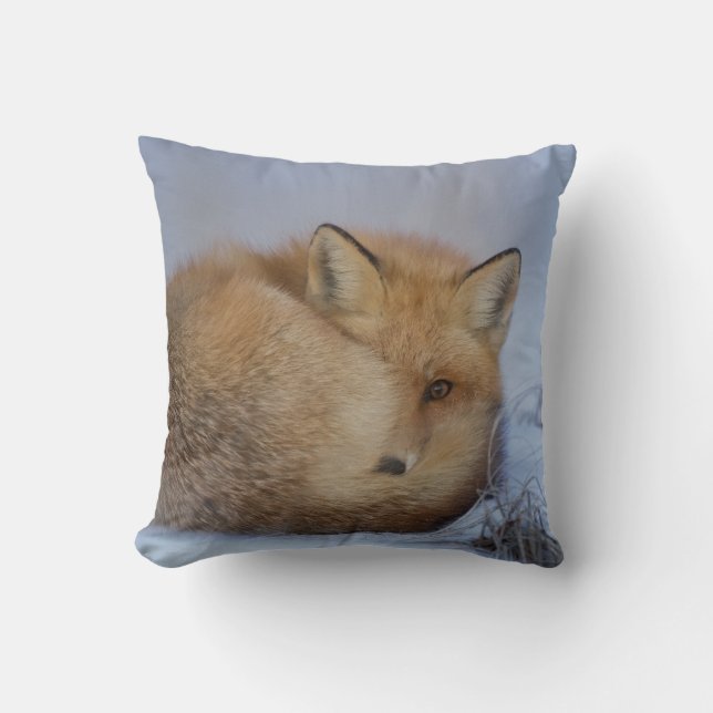 Cute Little Fox Curled Up Winter Photo Throw Pillow (Front)