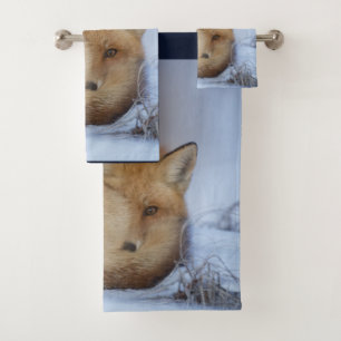 Cute Little Fox Curling Up Winter Photo