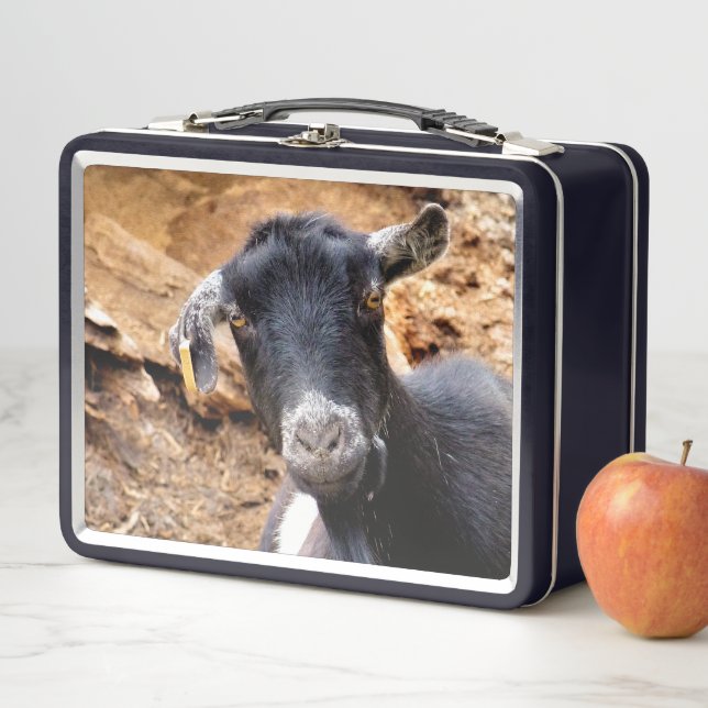 CUTE LITTLE GOAT METAL LUNCH BOX (In Situ)