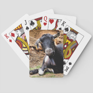 CUTE LITTLE GOAT  PLAYING CARDS
