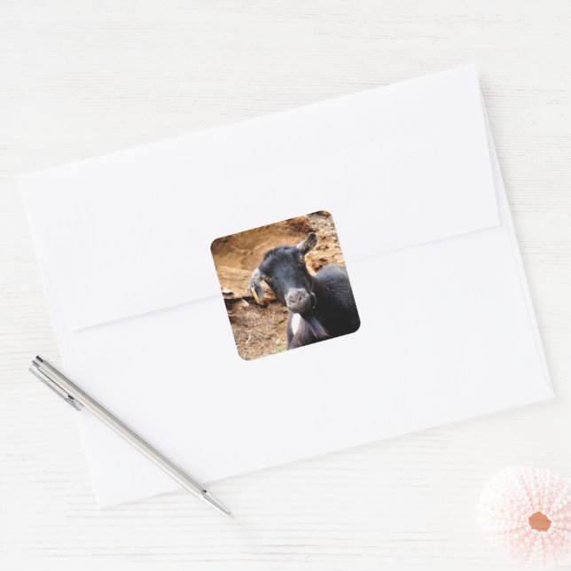 CUTE LITTLE GOAT SQUARE STICKER (Envelope)