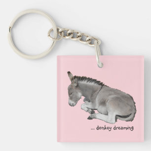Cute Little Grey Donkey Baby Foal