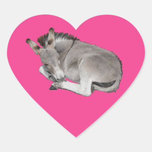 Cute Little Grey Donkey Baby Foal Laying Down Heart Sticker