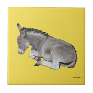 Cute Little Grey Donkey Baby Foal Sleeping Tile