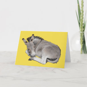 Cute Little Grey Donkey Foal Card