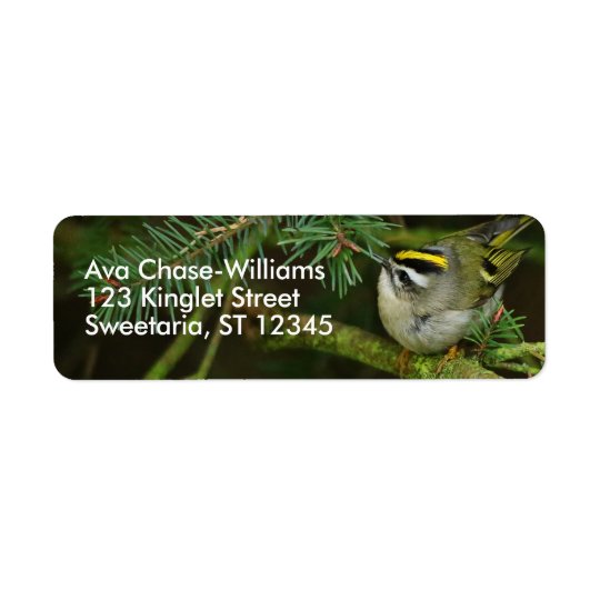 Cute Little Kinglet Causes a Stir in the Fir Return Address Label