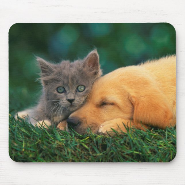 Cute little Kitten and puppy together Mouse Pad (Front)