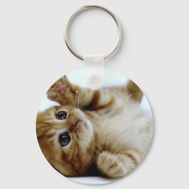 cute little kitten cat pet ginger tabby keychain (Front)