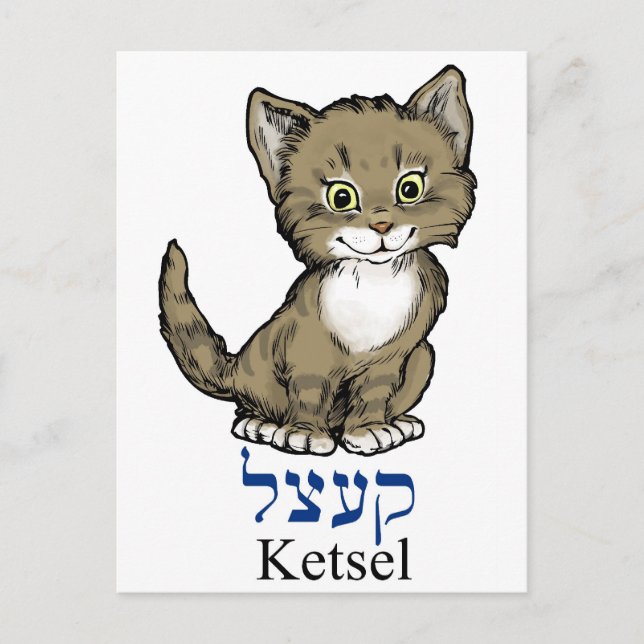 cute little kitten-"ketsel" in Yiddish Postcard (Front)