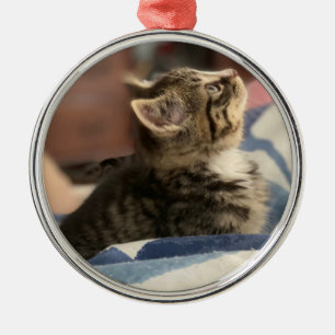 Cute little Kitten Personalized Photo Christmas Metal Ornament