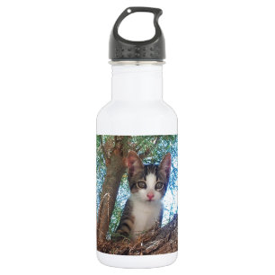 Cute little kitten playing in the woods 532 ml water bottle
