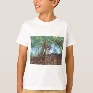 Cute little kitten playing in the woods T-Shirt