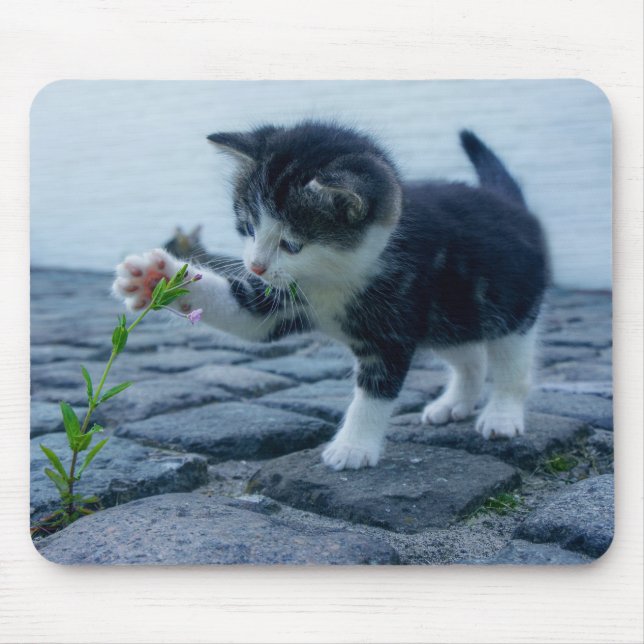 Cute Little Kitten Playing with a Flower Mouse Pad (Front)