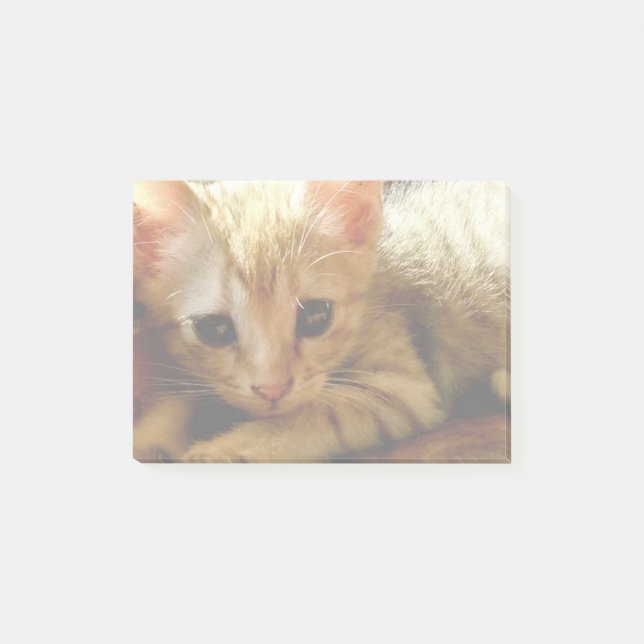 Cute Little Kitten Post-it Notes (Front)