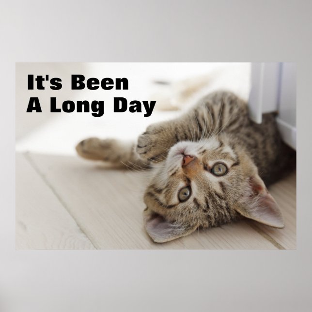 Cute Little Kitten Poster (Front)