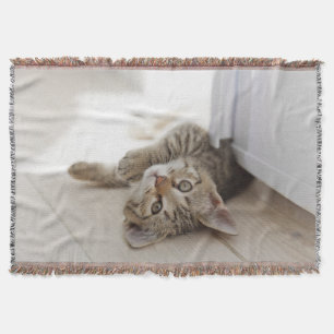 Cute Little Kitten Throw Blanket