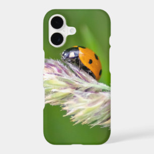 Cute little ladybug for your Smartphone!