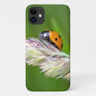 Cute little ladybug for your Smartphone! iPhone 11 Case