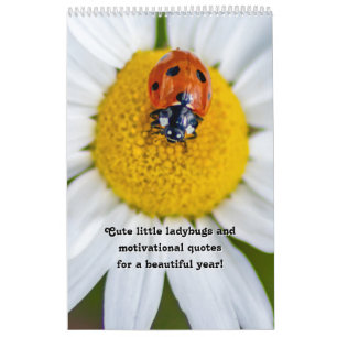 Cute little ladybugs and motivational quotes calendar