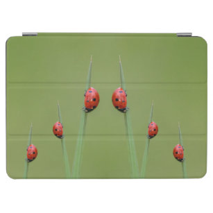 Cute little ladybugs for your iPad! iPad Air Cover