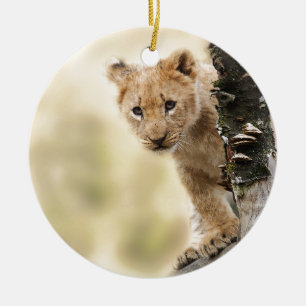 CUTE LITTLE LION CUB RANGE CERAMIC ORNAMENT