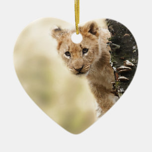 CUTE LITTLE LION CUB RANGE CERAMIC ORNAMENT