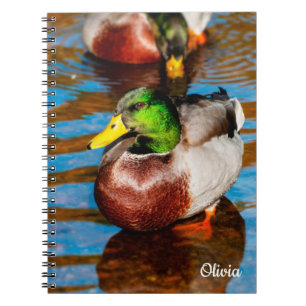 Cute Little Mallard Duck Spiral notebook