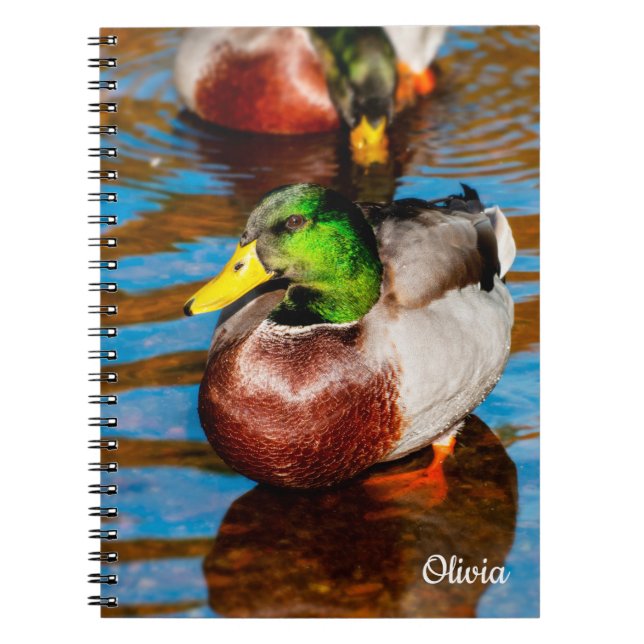 Cute Little Mallard Duck Spiral notebook (Front)
