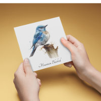 Cute Little Mountain Bluebird Watercolor, custom