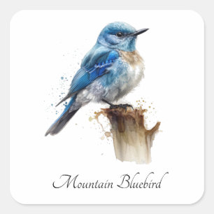 Cute Little Mountain Bluebird Watercolor, custom Square Sticker