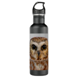 Cute Little Northern Saw Whet Owl 710 Ml Water Bottle