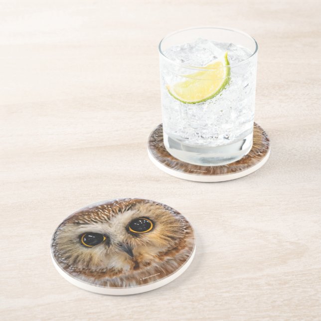 Cute Little Northern Saw Whet Owl Coaster (Side)