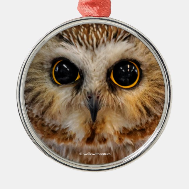Cute Little Northern Saw Whet Owl Metal Ornament (Front)