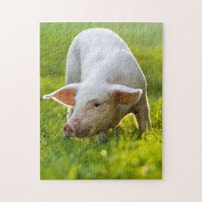 Cute little Pig Jigsaw Puzzle (Vertical)
