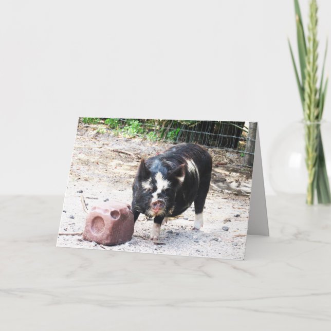 Cute Little Piggy - Carte de voeux Farm Life (Devant)