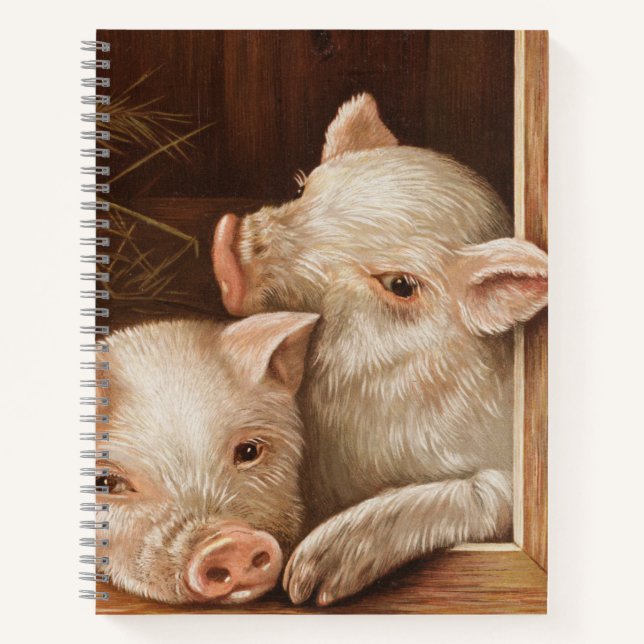 Cute little piglets in a barn at the farm notebook (Front)
