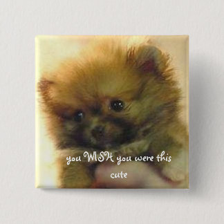 cute little pomeranian 2 inch square button