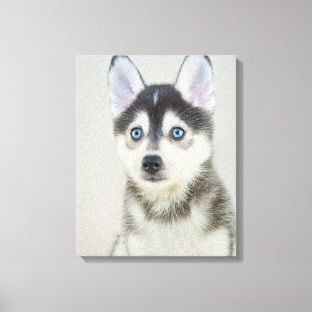 Cute Little Pomsky Puppy Canvas Print (Front)